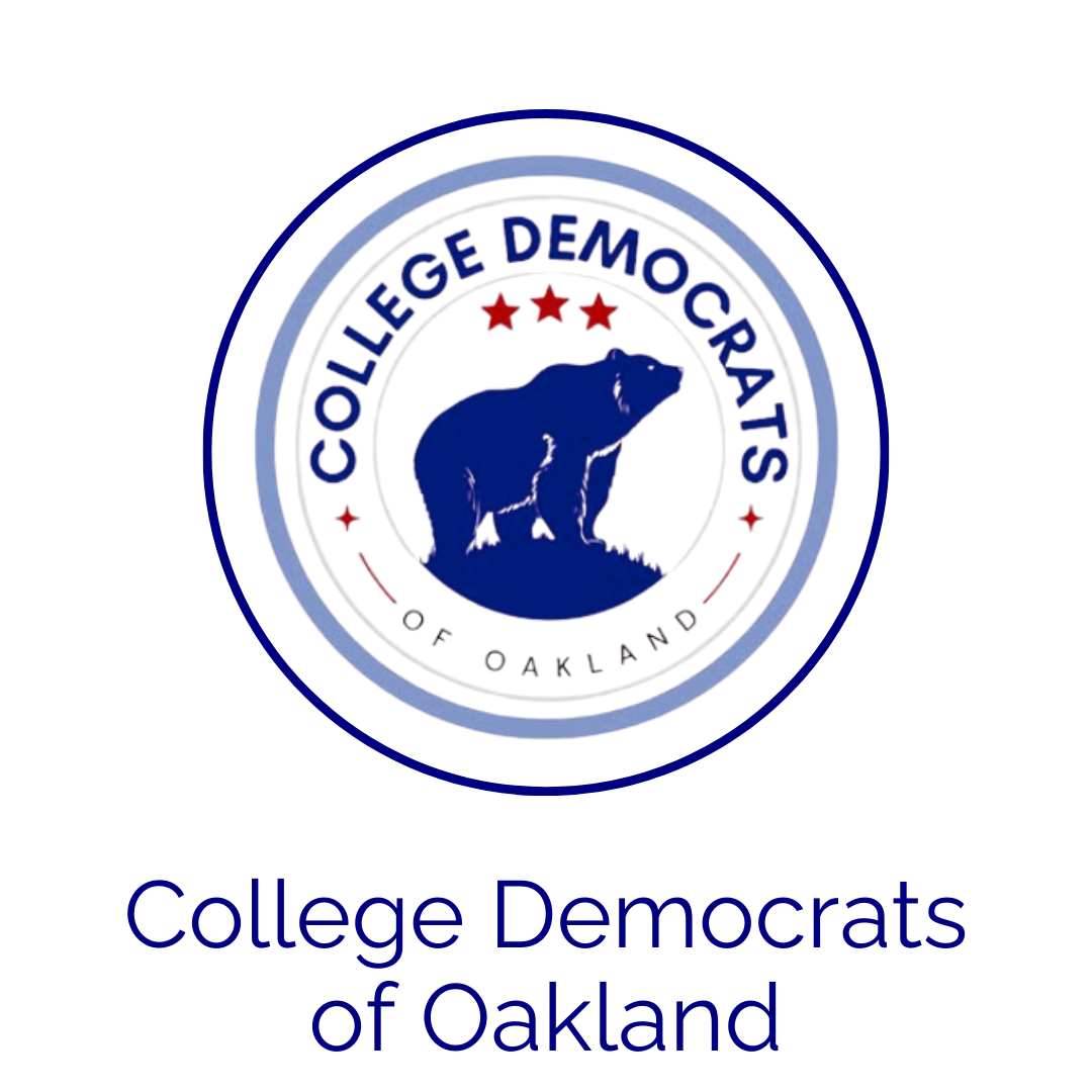 Image of Detroit Action Organization.